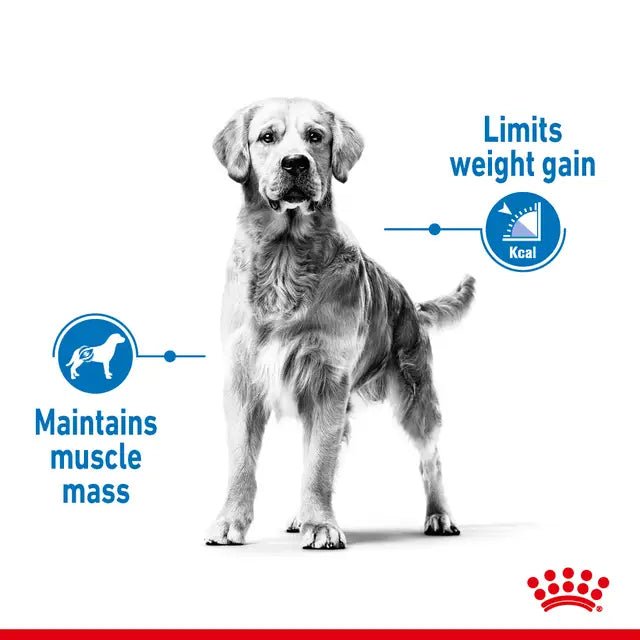 Royal Canin Medium Light Weight Care Dry Dog Food - Pet Supply